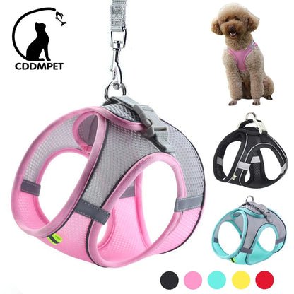 Adjustable Dog Harness Set